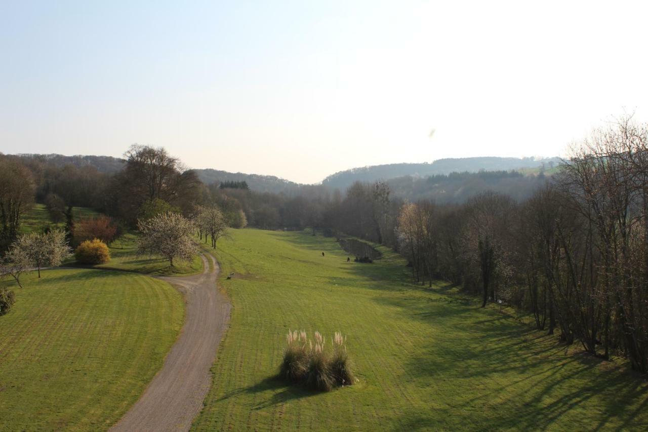 Chateau De La Lucaziere Mont-Saint-Jean  エクステリア 写真